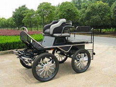 Marathon training horse carriage