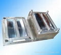 Injection Mould  1