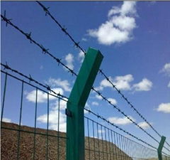 Barbed Wire