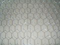 Hexagonal Wire Mesh