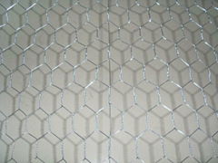 Hexagonal Wire Mesh 