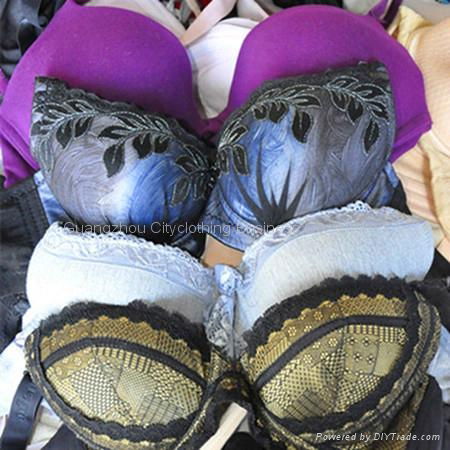 Used bras in bulk