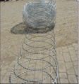 Razor barbed wire  3