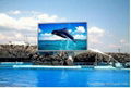 waterproof advertising led video wall  p10 outdoor led display