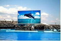 waterproof advertising led video wall