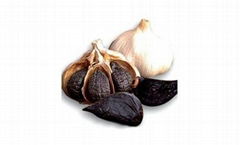 Black Garlic