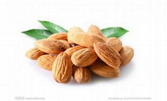 Almond