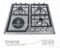 Hot selling gas burner with 5 holes 4