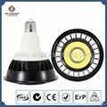 LED PAR38 Spot Light 1