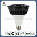 LED PAR38 Spot Light 2