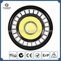 LED PAR38 Spot Light 5