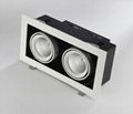 2X10W High Power LED Grid Light 1