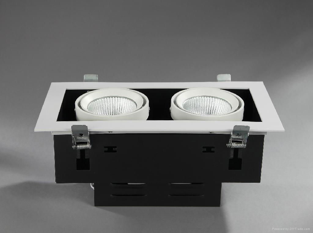 2X10W High Power LED Grid Light 2