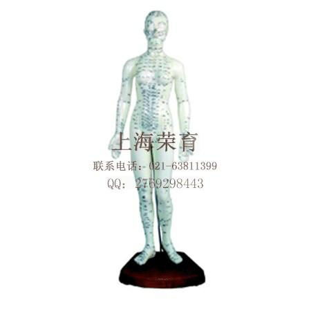 Human acupuncture model 3