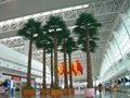2014 China best sale artificial plant most realistic artificial palm tree  2