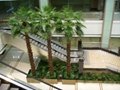 2014 China best sale artificial plant most realistic artificial palm tree  3