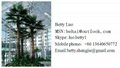 2014 China best sale artificial plant most realistic artificial palm tree  5