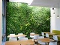 China manufacturer top quality artificial plant wall top sale fake plant wall  4
