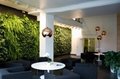 China manufacturer top quality artificial plant wall top sale fake plant wall  5