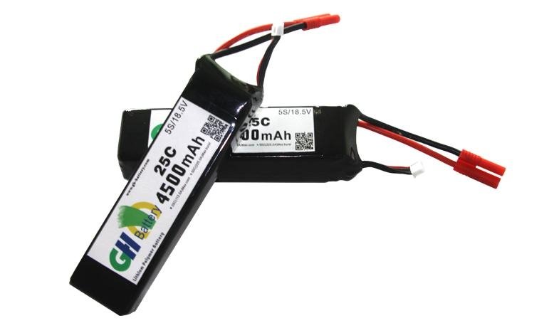 lithium-ion battery 5