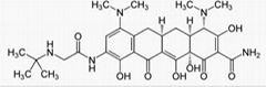 Tigecycline