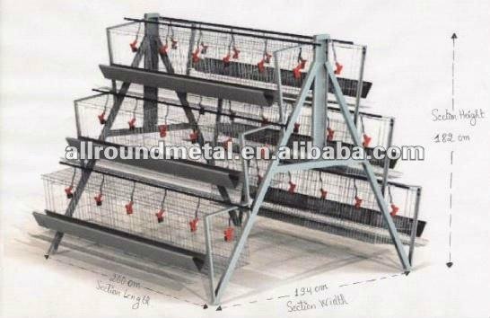 Automatic battery A type chicken hen layer cage  2