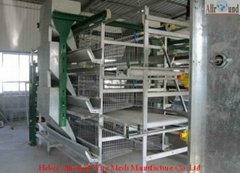 Automatic poultry equipment chicken cages