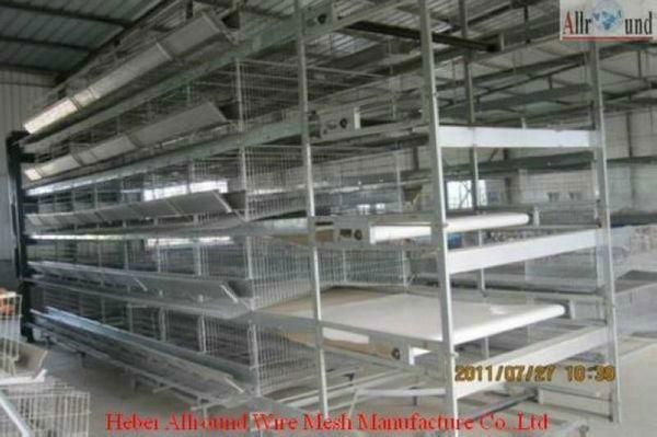 Automatic poultry equipment chicken cages   2