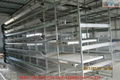 Automatic poultry battery cage for layer