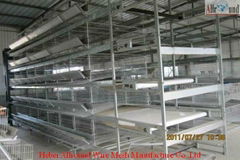 Automatic poultry battery cage for layer (H type)