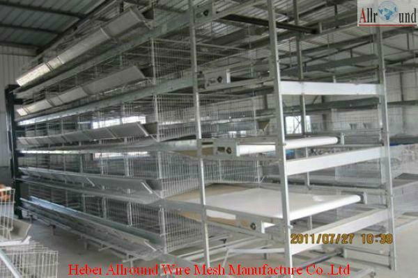 Automatic poultry battery cage for layer (H type) 