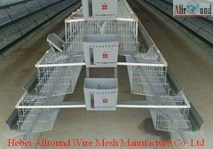 A type poultry cages for layer