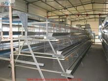Layer chicken wire cages for farm 
