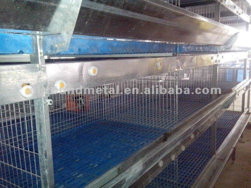 Automatic Pullet Rearing Cage 