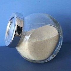 beauty collagen powder