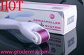 GMT600 Face derma roller