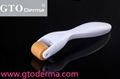 GMT200+face derma roller