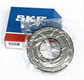 SKF Bearing