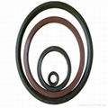 Fluorine rubber gasket