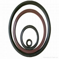 Fluorine rubber gasket