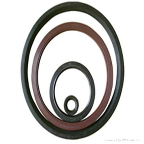 Fluorine rubber gasket