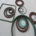 Fluorine rubber gasket 1