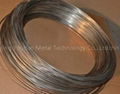 Hafnium Wire 1