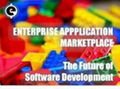 Enterprise Software Customization 1