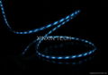 EL Visible light charge cable