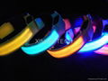 LED Pets Collars(double side light) 4