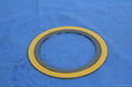 Spiral Wound Gasket Ring 2