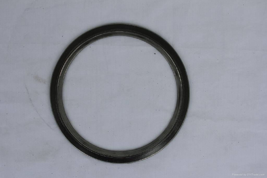 Spiral Wound Gasket Ring 4