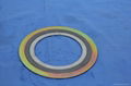 Spiral Wound Gasket Ring 5