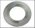 Carbon Steel Spiral Wound Gaskets